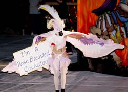 Pretenders in Paradise 2005 photo - Duval Street, Key West